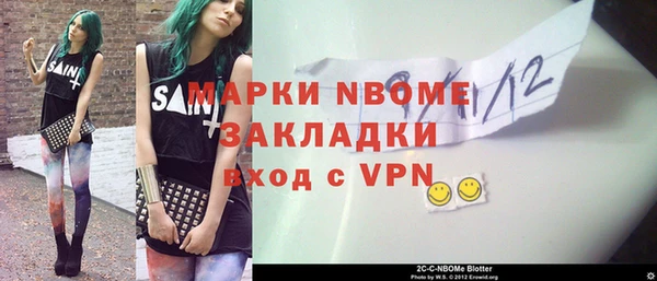 хмурый Арсеньев
