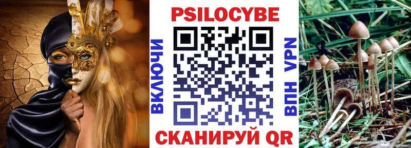 продажа наркотиков  Балтийск  Галлюциногенные грибы MAGIC MUSHROOMS 